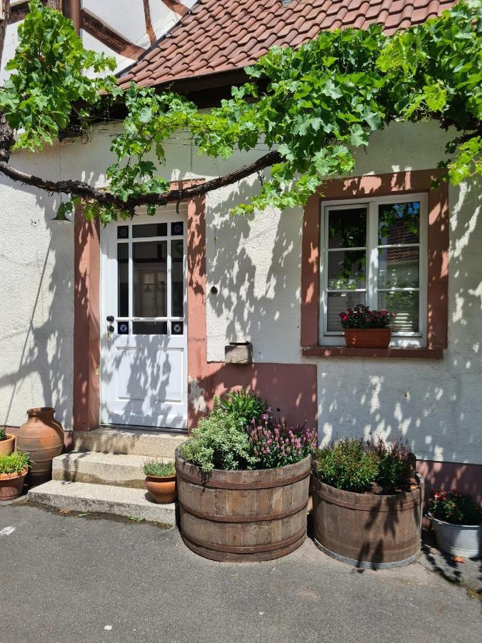 Schoene Ferienwohnung Mit Kamin Neustadt an der Weinstraße Eksteriør bilde